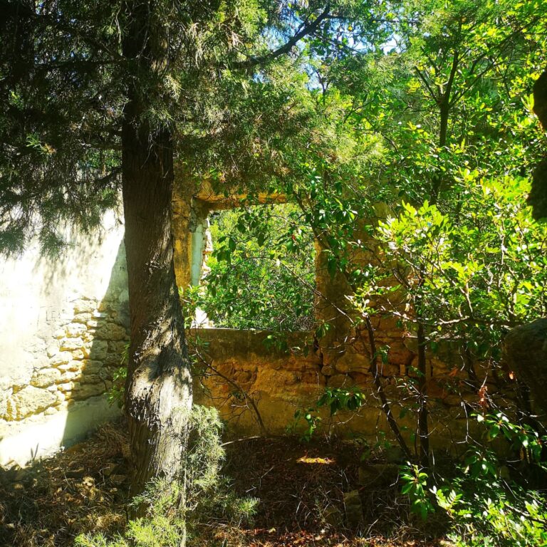 Asprokavos vienuolynas