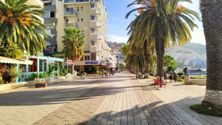 Palm tree–lined seaside promenade with cafes, shops, and multi-story buildings along a harbor road.